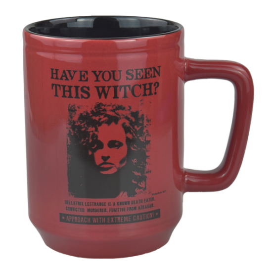 Harry Potter Diacount Store Have You Seen This Witch MugHave You Seen ...